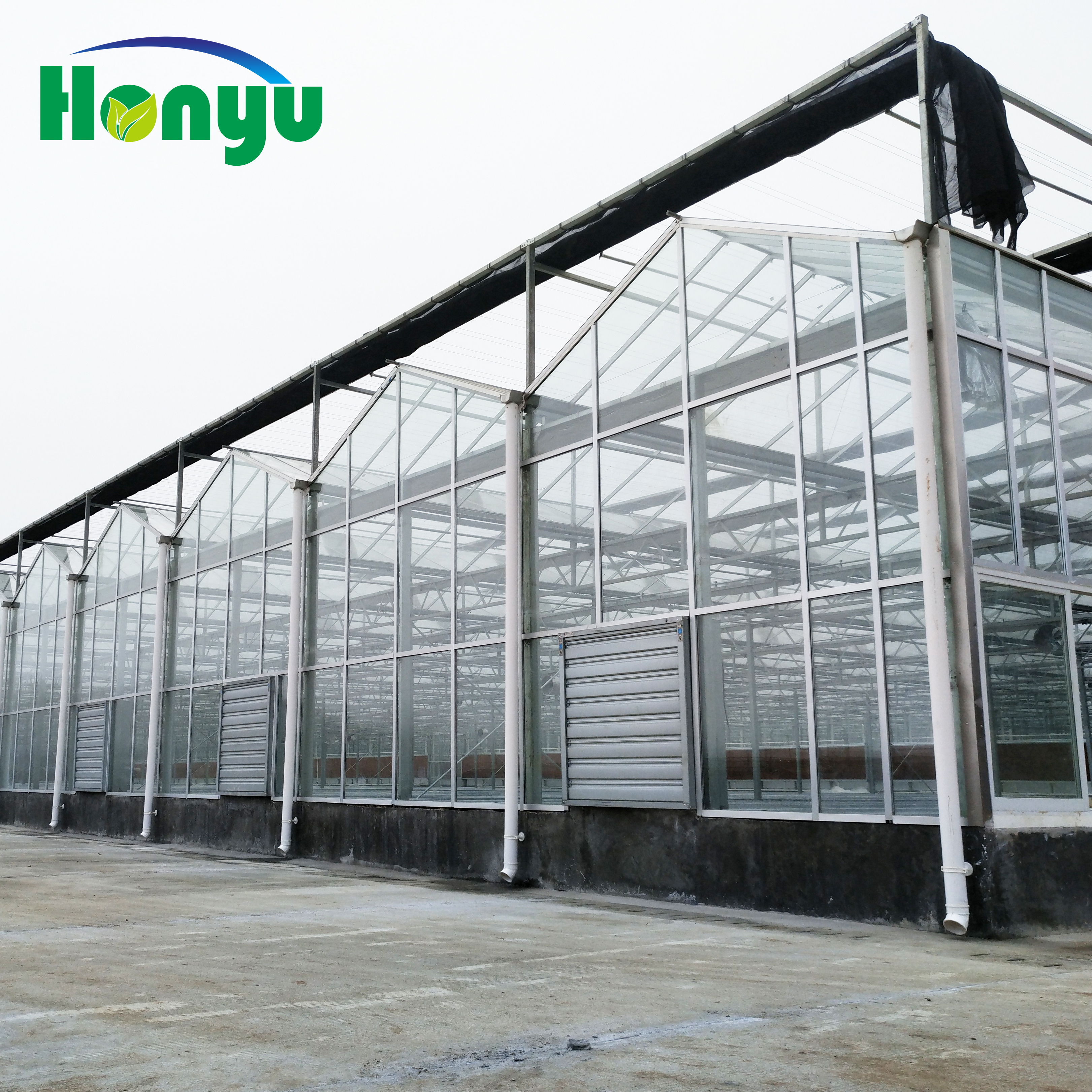 High Quality Venlo Glass Greenhouse For Hydroponic Growing System