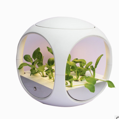 Intelligent Hydroponic Growing System Indoor LED Light Grow Vegetalbes