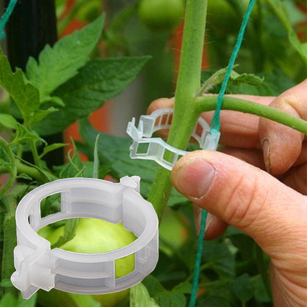 Garden Greenhouse Plastic Tomato Clips For Garden Plant Greenhouse aeroponic growing system