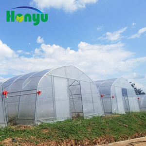 Low Cost 200 micron PE Film Tunnel Tropical Greenhouse Used For Sale for Growing Cucumber/Tomato/Strawberry/leafy vegetable