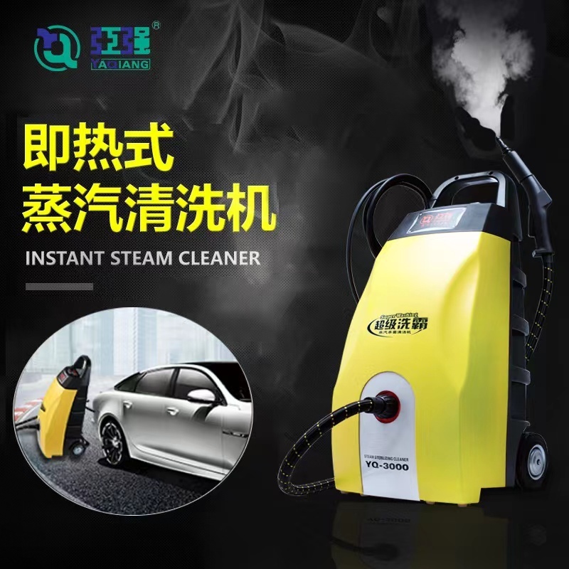 Multi-function Portable Steam washing machine with CE Engine washer Steam wash machine