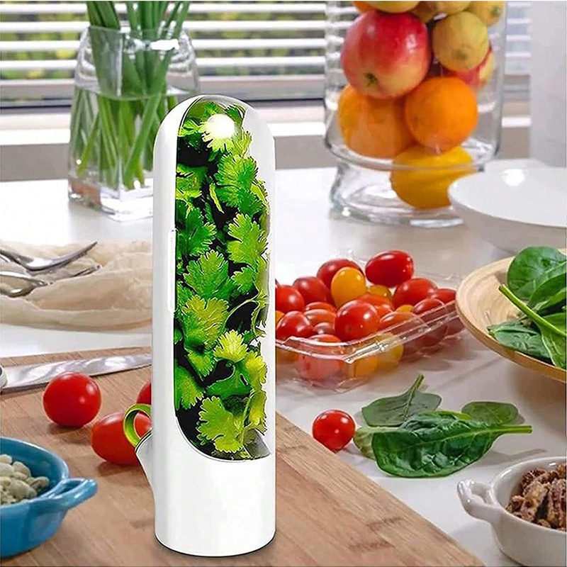 BR092 transparent crush-proof  herb saver fresh keeper herb keeper storage for refrigerator