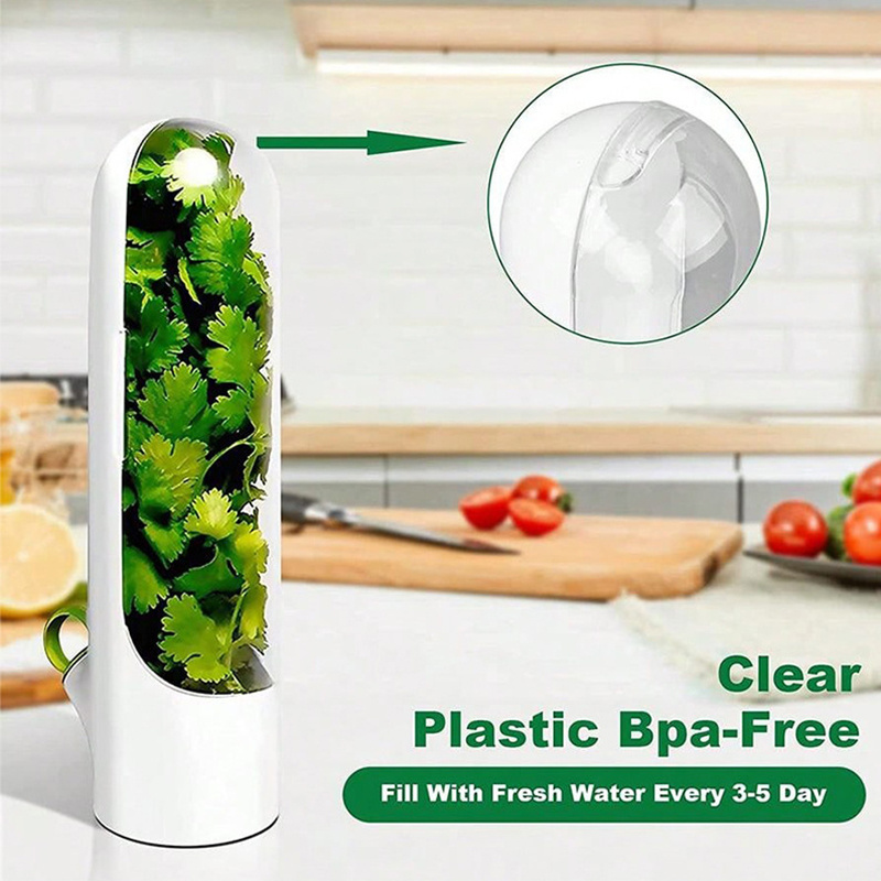 BR092 transparent crush-proof  herb saver fresh keeper herb keeper storage for refrigerator