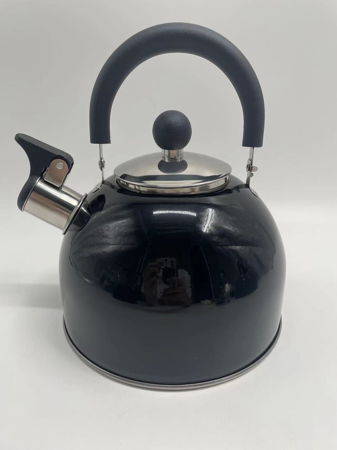 Stainless Steel Whistling Kettle with MultiColor Coating Stove top Teapot with Handle portable Small MOQ Boiling Hot watering