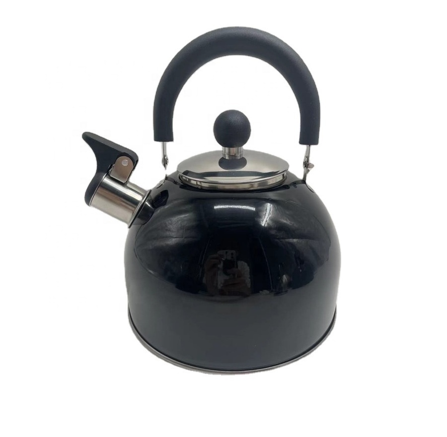 Stainless Steel Whistling Kettle with MultiColor Coating Stove top Teapot with Handle portable Small MOQ Boiling Hot watering