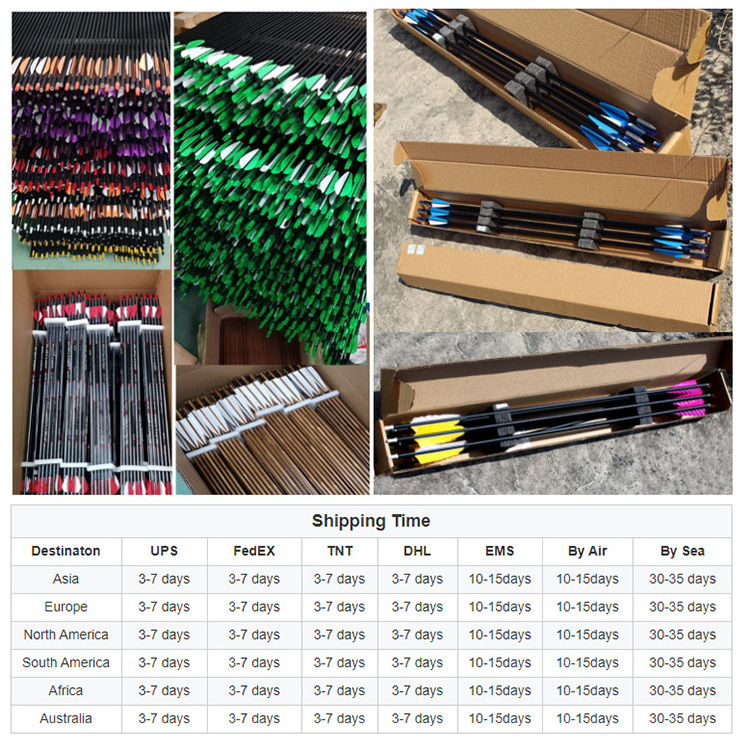 Archery Hunting Arrow 350 & 400 Spine Carbon E xpress Arrow