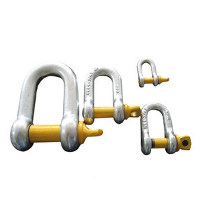 High-quality Marine Hardware Electric Galvanized Us Type Carbon Steel Drop Forged Screw Pin D Shackle