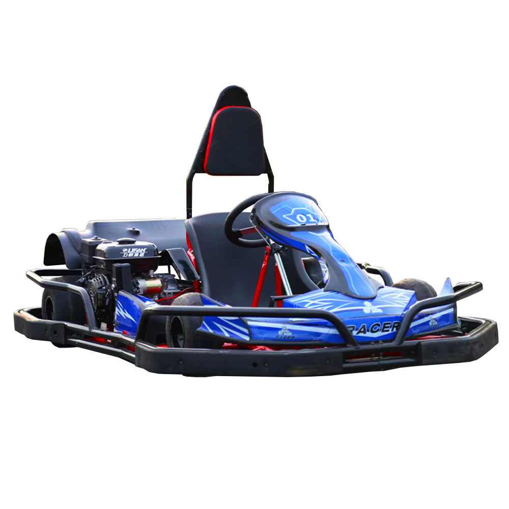 200cc Gas Powered Cheap Prices Karting Racing F1 Petrol Car Gas Gasoline Go Karts for Adults Gas Powered