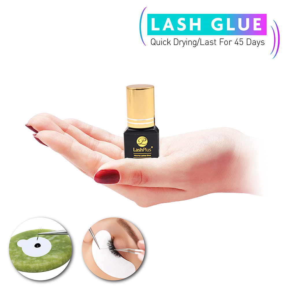 LashPlus fast dry 0.5 second lash adhesive Waterproof and Oil-proof high 1-2 second ultra strong Master Japanese lash glue