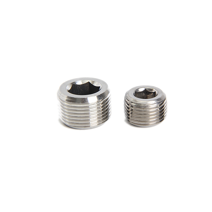 Pipe Screw plug fitting Bolt insert PT NPT thread with cheese head Hex socket blind hole custom service