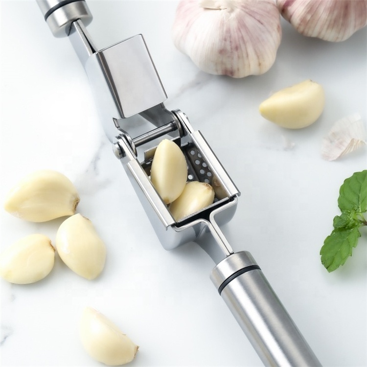 Kitchen Manual Ginger Chopper Peeler Crusher Stainless Steel Garlic Press