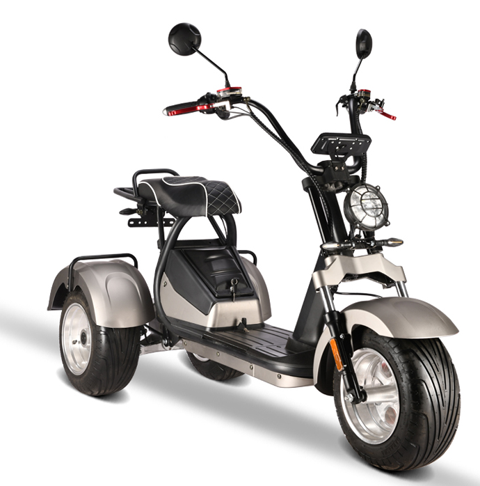 Electric Tricycle 2 passengers fat tire 60V 2000W 20AH 45KM 3 wheels off road citycoco with coc/eec for adults