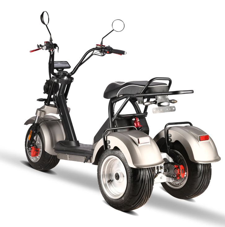 Electric Tricycle 2 passengers fat tire 60V 2000W 20AH 45KM 3 wheels off road citycoco with coc/eec for adults