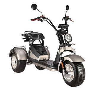 3 wheels electric scooters 60V 20AH with powerful motor removable battery fat tire motorcycles  electric scooter citycoco adult