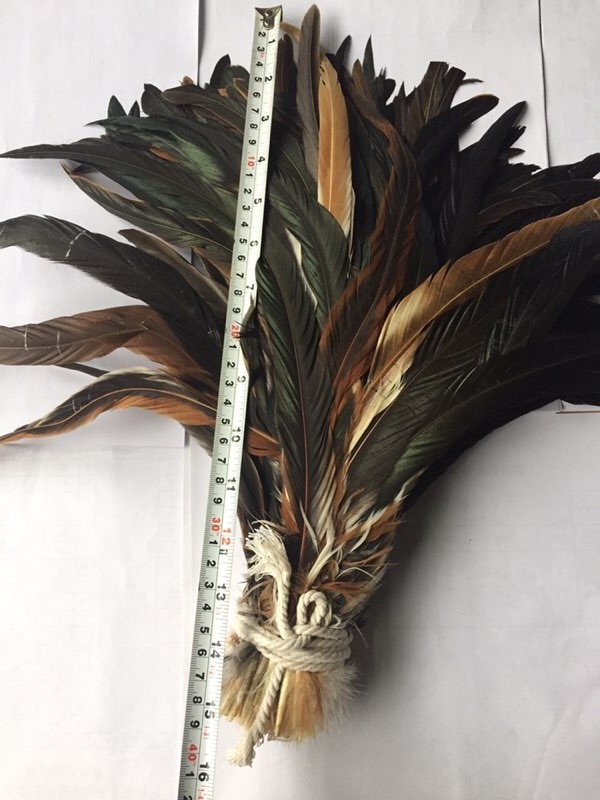 Dyed Feather Factory Direct Supply 8-10inch raw chicken feathers for purchase raw chicken feather rooster tail for sale