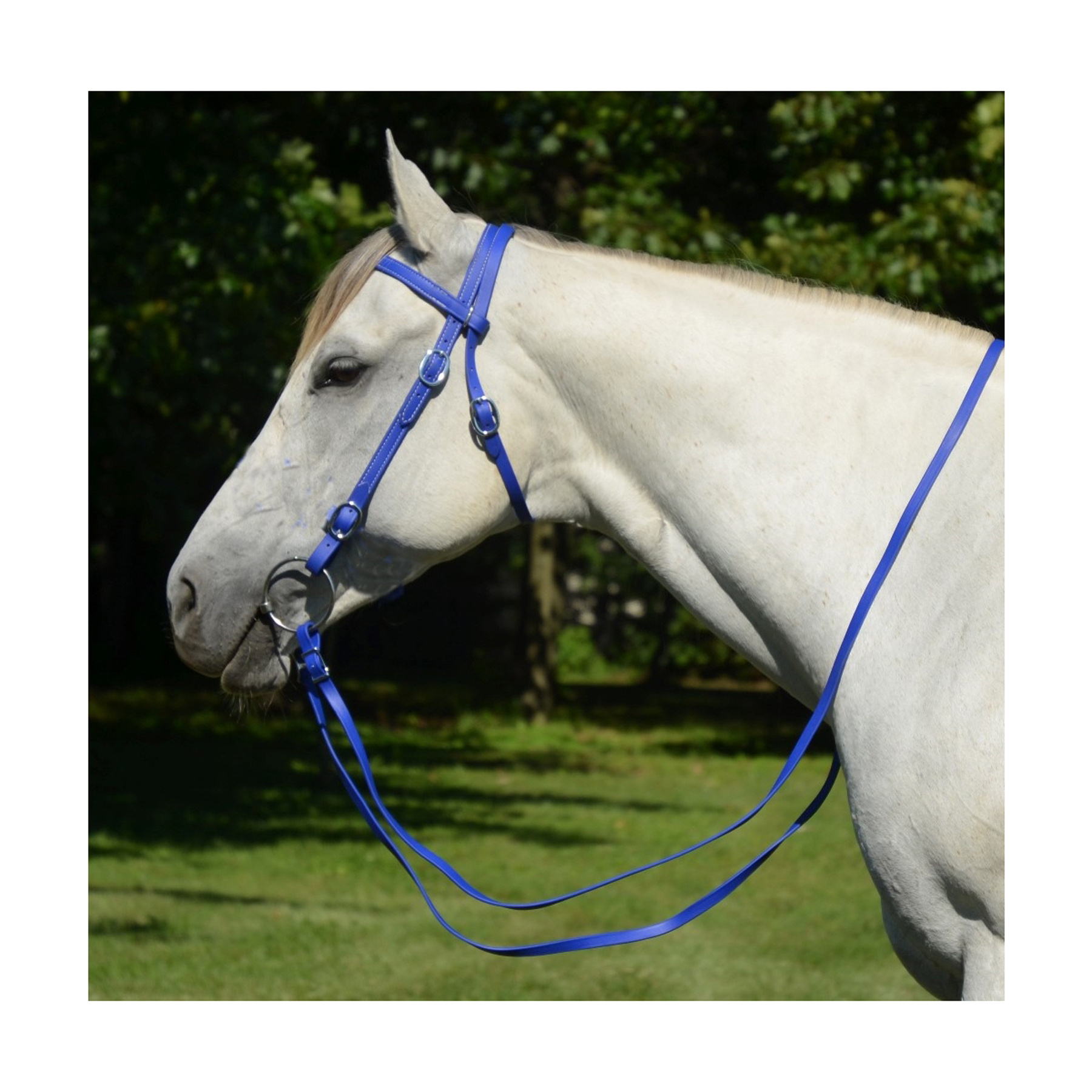 Anatomical Dressage Adjustable Leather Horse Biothane Bridle PVC Nylon Wholesale Factory Manufacturing for Horse Racing Equine