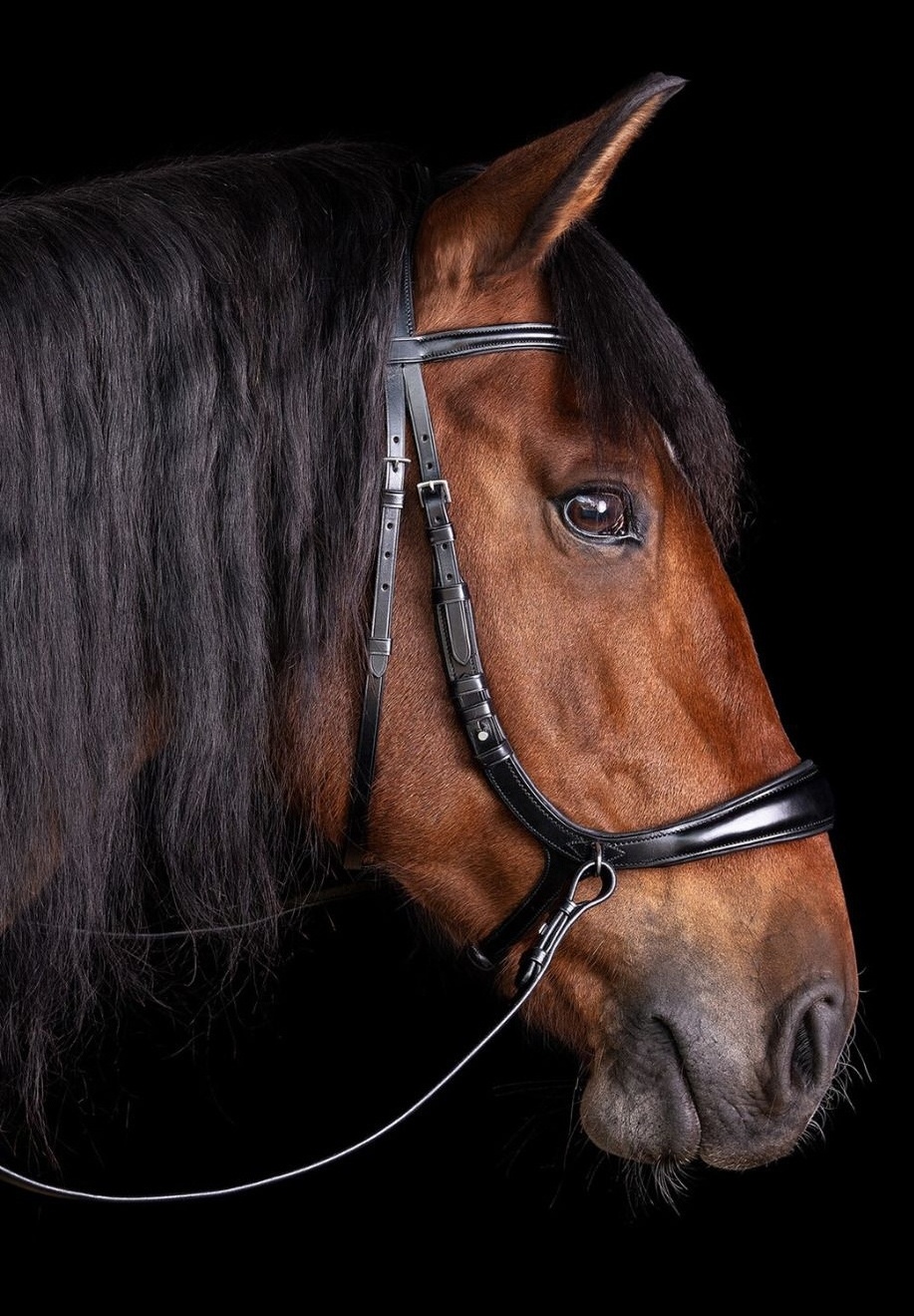 Luxury Equestrian Horse Soft Leather Bridle with Rock Crystals and Patent Leather from Indian Manufacturer of Horse Bridle Shows