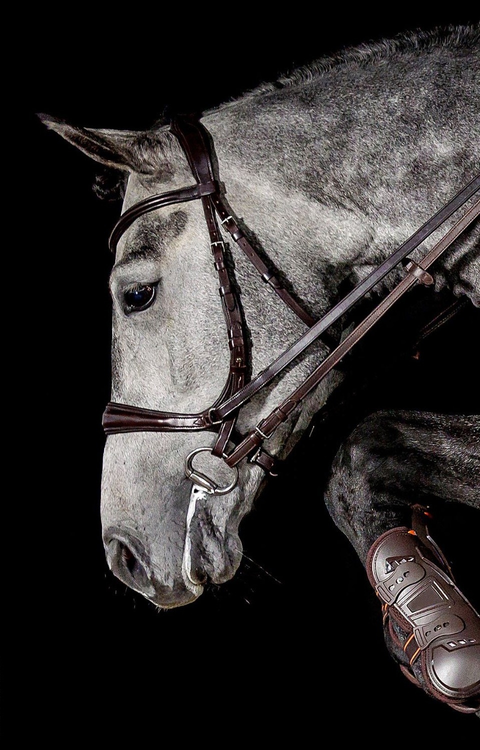 Luxury Equestrian Horse Soft Leather Bridle with Rock Crystals and Patent Leather from Indian Manufacturer of Horse Bridle Shows