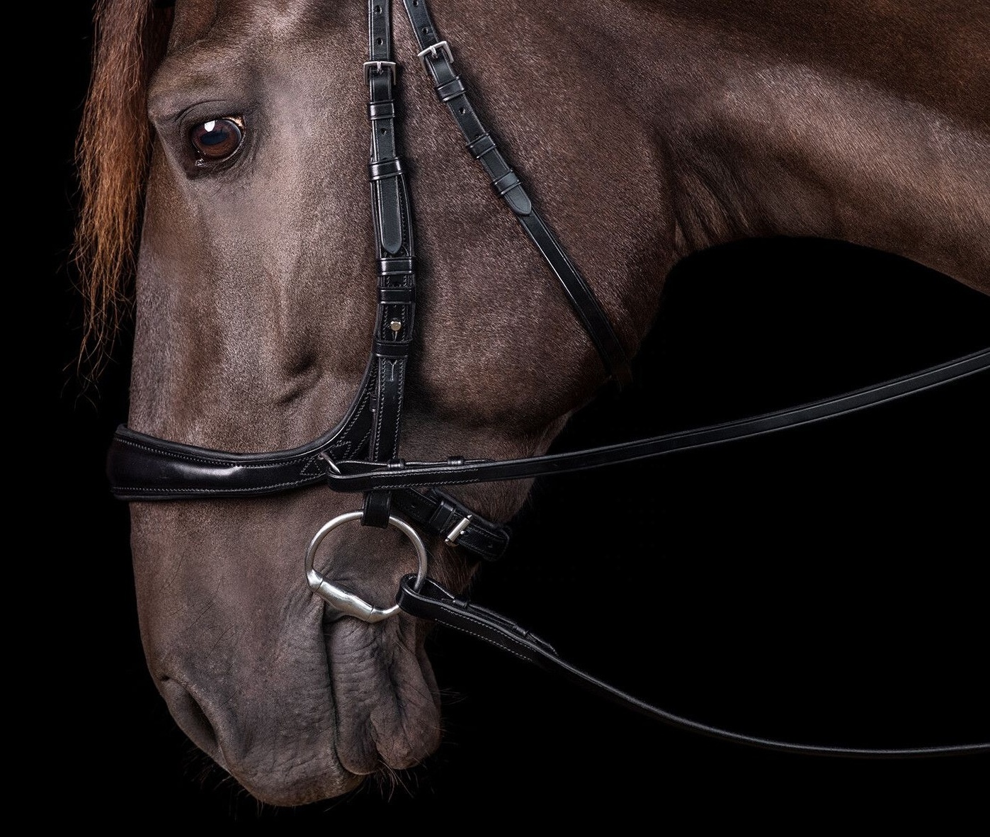 Luxury Equestrian Horse Soft Leather Bridle with Rock Crystals and Patent Leather from Indian Manufacturer of Horse Bridle Shows