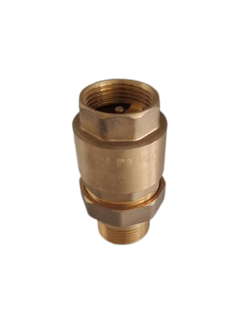 Brass Spring Non Return valve Swing Check Valve Vertical Check Valve