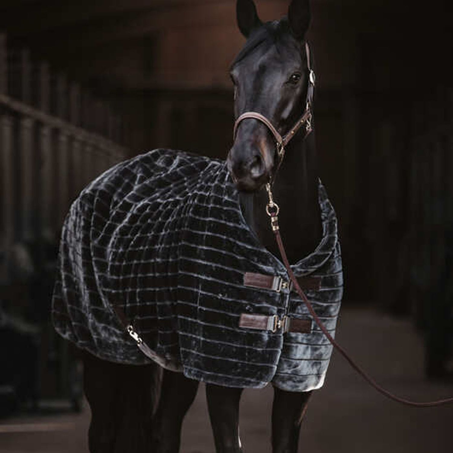 Premium Quality Horse Blanket Equestrian Turnout Horse Rugs Navy Blue OEM Custom Design Fleece Winter Warm Horse Cooler Blanket