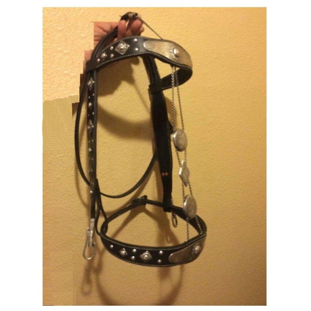 Spanish Bridle With Metal Decor Iron Fitting Design Horse Spanish Leather Bridle