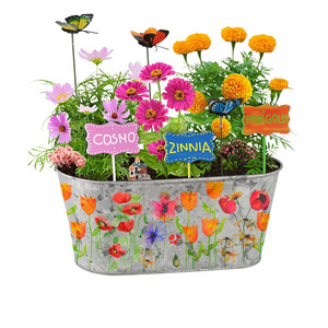 Kids Paint Plant and Grow Flower Kit DIY Craft For Spring Metal Planter Tub Galvanized Pot Decorative Gardening Gifts