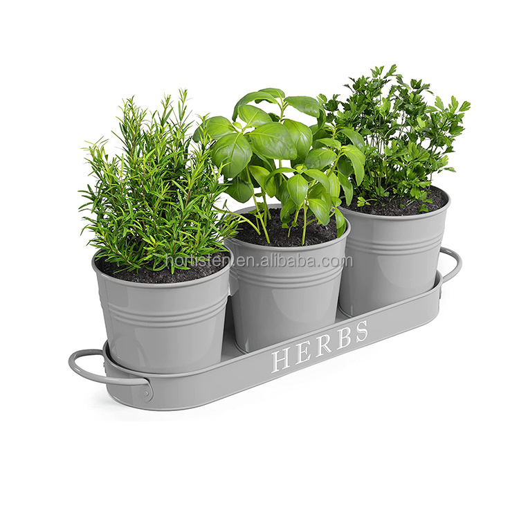 Galvanized Tub Planters-with-Drainage Tray Set Indoor Outdoor-Use