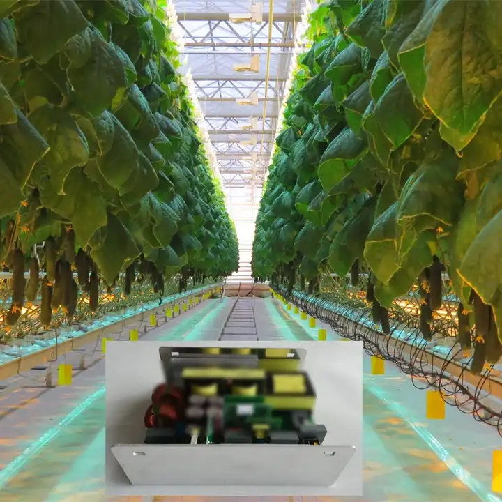 1000W 400V U type  HID HPS Ballast For Commercial and Professional Greenhouse 380V and Hydroponics in Russia America and Canada