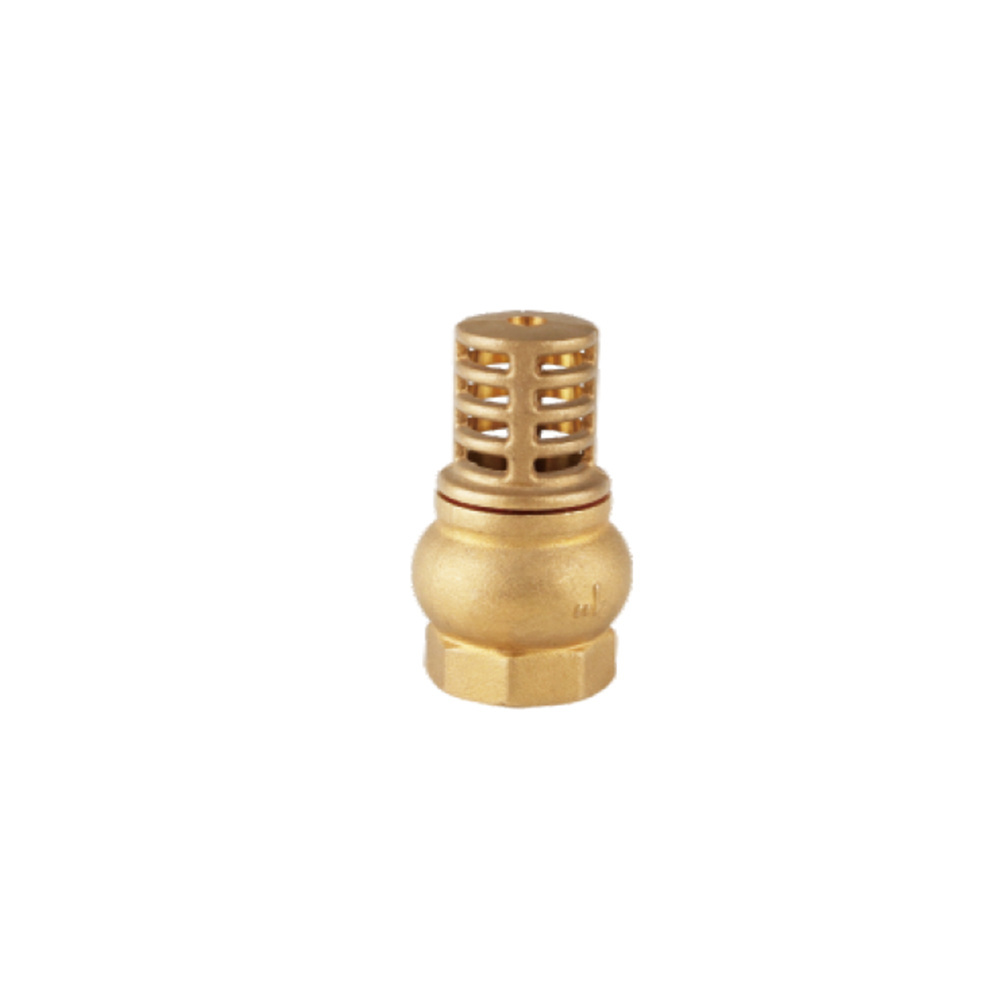 Durable Heavy Duty Brass One Way Vertical Foot Valve Spring Check Valve