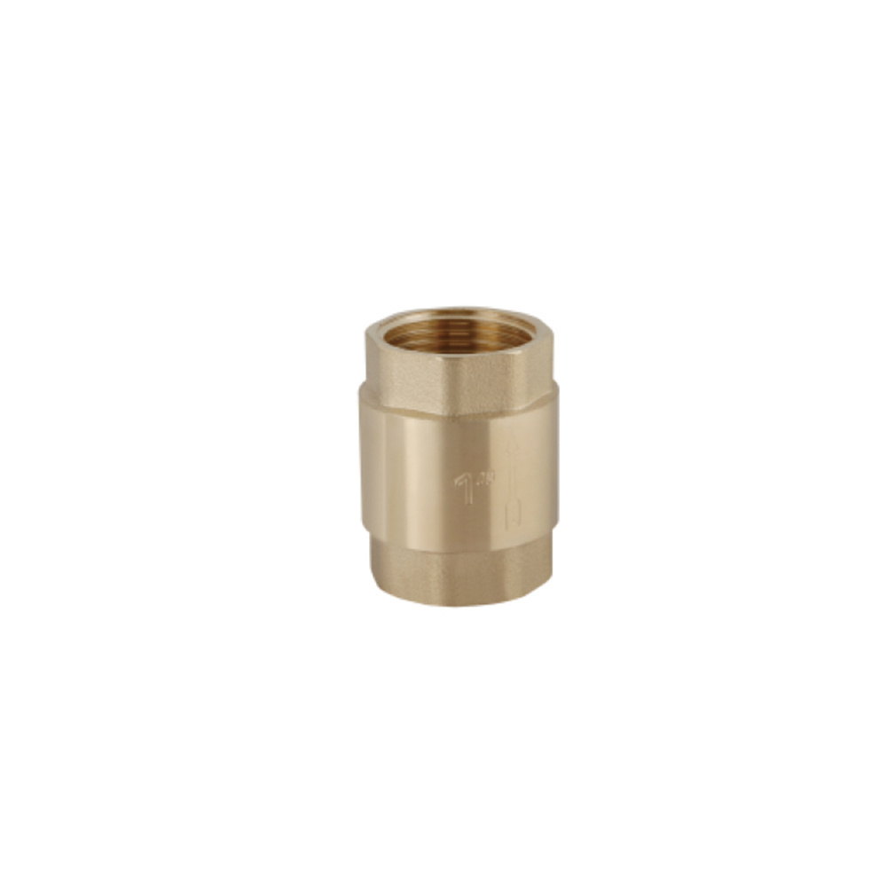 Durable Heavy Duty Brass One Way Vertical Foot Valve Spring Check Valve