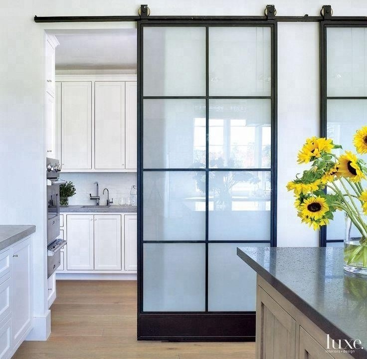 Hot Selling American Style Modern Metal Glass Panel Interior Black Sliding Barn Style Steel Glass Door