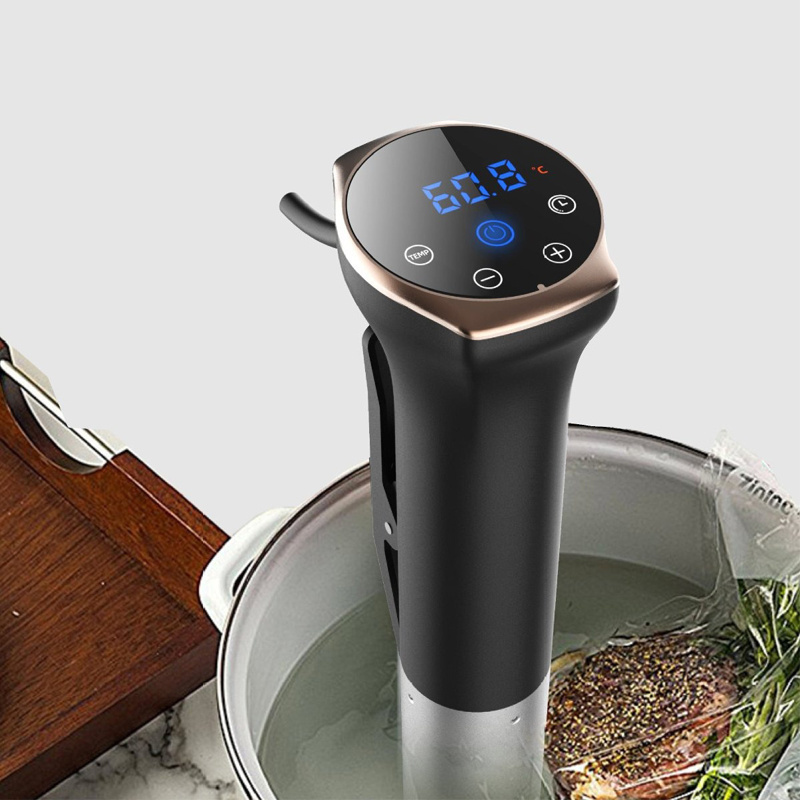 Professional Slow Food Cooker Stick Powerful Low Temperature Thermal Immersion Circulator vacuum slow sous food cooker vide