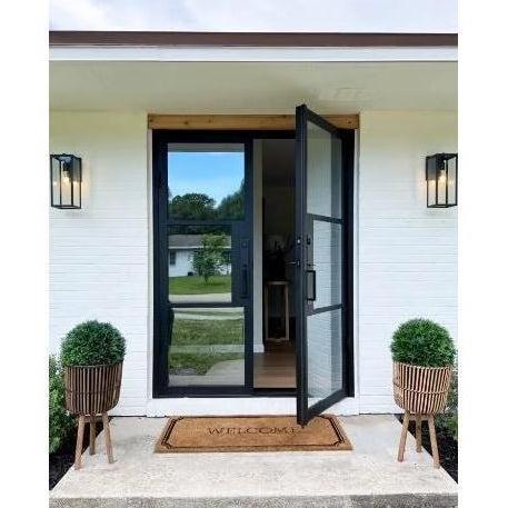 Exterior Steel Door Glass Door Wholesale French Style Iron Double Glass Door for Houses