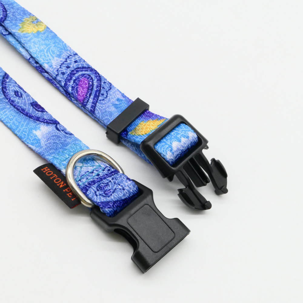 Day dream design cool dog collar