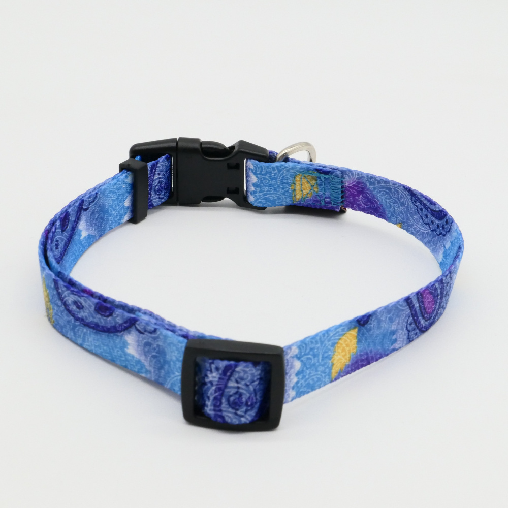 Day dream design cool dog collar