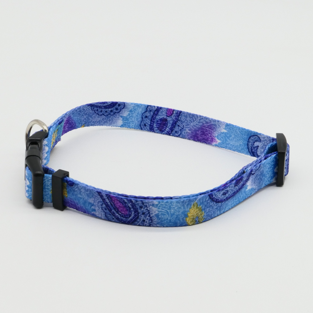 Day dream design cool dog collar