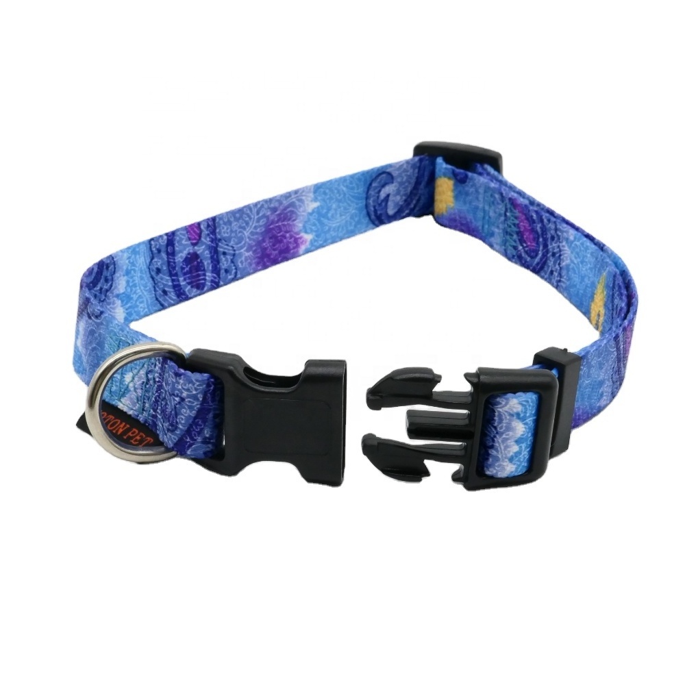 Day dream design cool dog collar