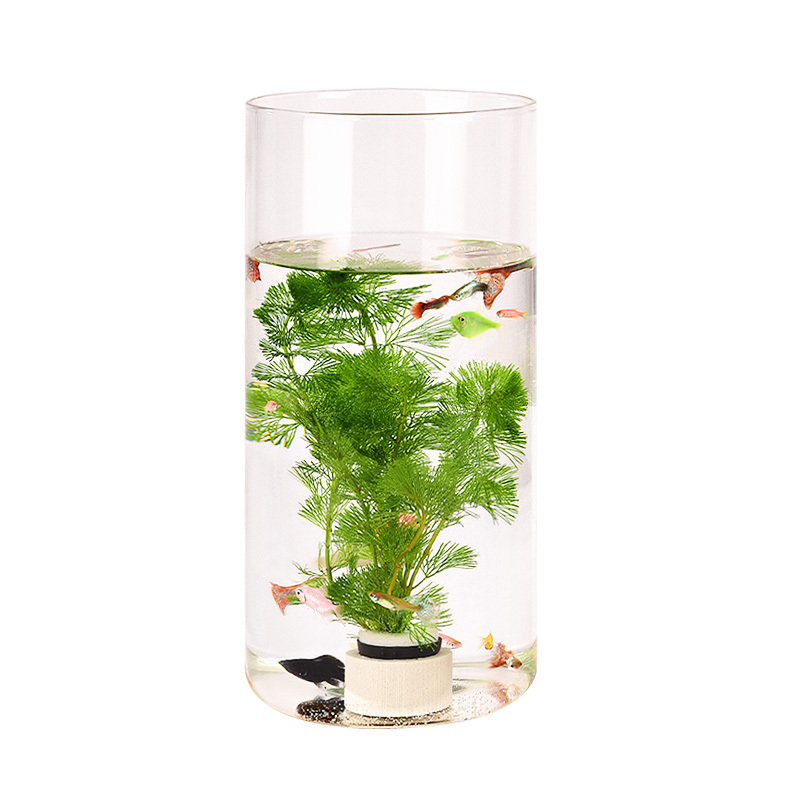 Clear Glass Fish Bowl Vase DIY Micro Landscape Container Vase Container Ecological Flower Vase Fish Tank