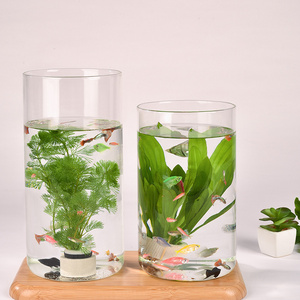 Clear Glass Fish Bowl Vase DIY Micro Landscape Container Vase Container Ecological Flower Vase Fish Tank