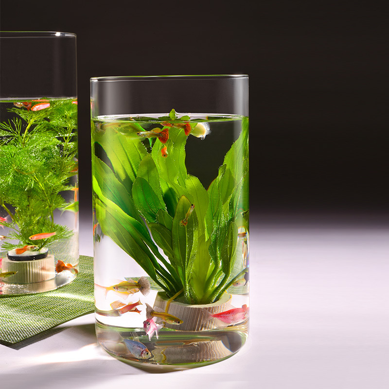 Clear Glass Fish Bowl Vase DIY Micro Landscape Container Vase Container Ecological Flower Vase Fish Tank