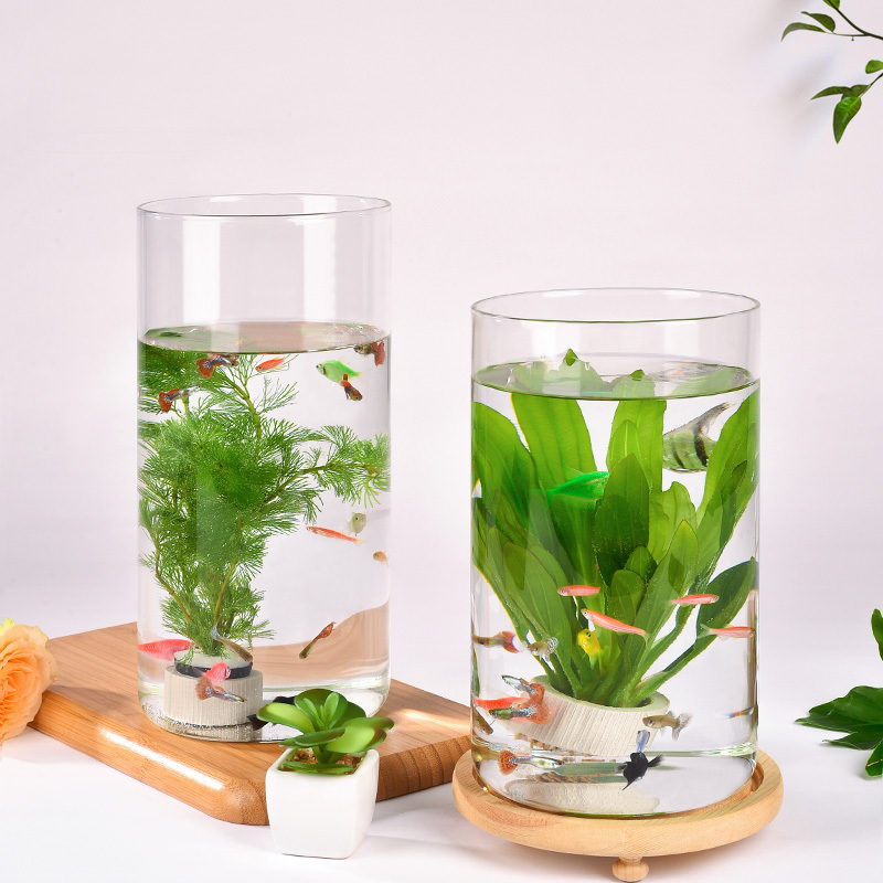 Clear Glass Fish Bowl Vase DIY Micro Landscape Container Vase Container Ecological Flower Vase Fish Tank