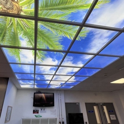 Sky panel ceiling light sales