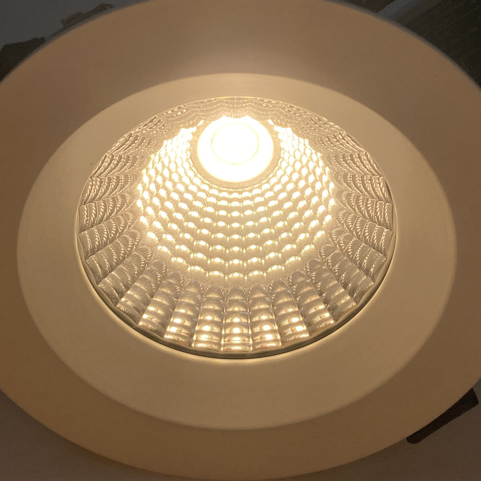 new arrival 12W cob round ceiling light cheap outdoor IP65 waterproof recessed led downlight