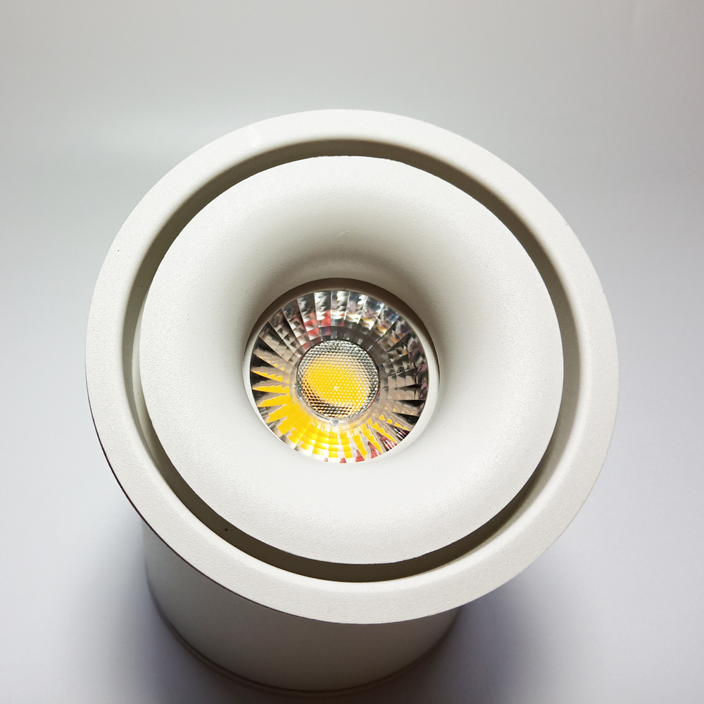 Modern Indoor COB Decorative Spot Light Led Ceiling Downlight Led Surface Mounted Light