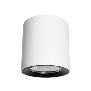 High Quality 16W White Black Led Ceiling Light for Hotel Home Cylinder Aluminum Surface Mounted LED Down Light