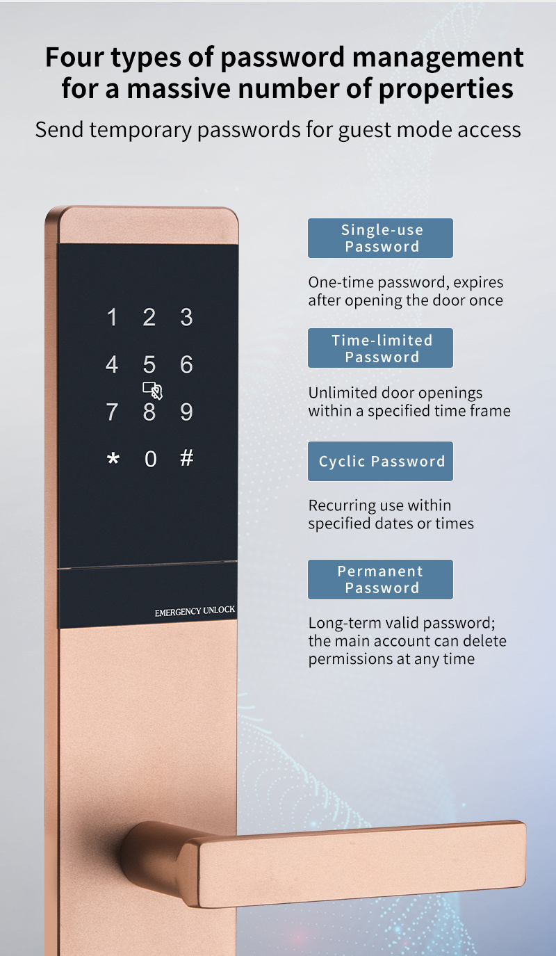 High-End Elegant TT  Hotel App Smart Hotel Locks With Silver Black Hotel Lock System Smart Digital door lock