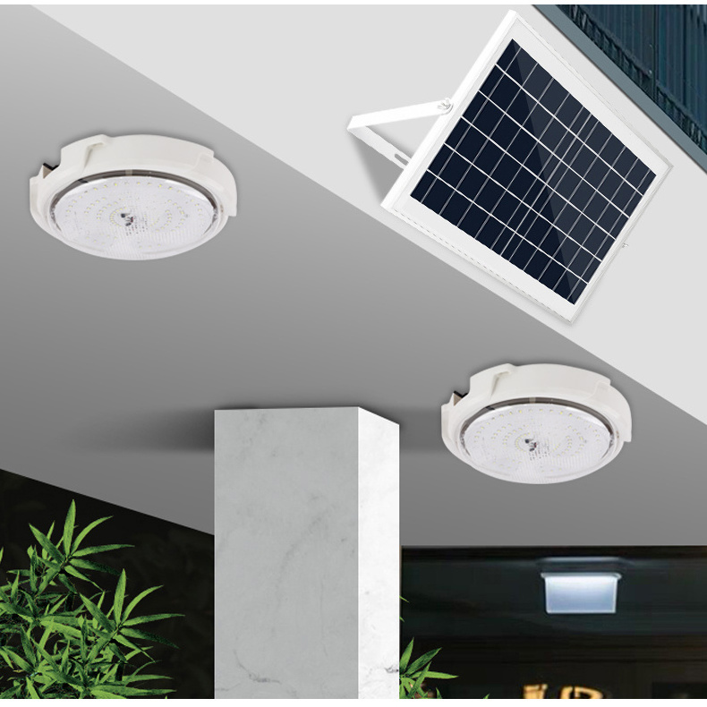 Howlighting 100w 150w 200w Indoor Garden Balcon Aluminum Led Ceiling Lamp Remote Control Smart Solar Ceiling Light For Home