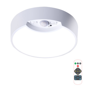 Howlighting Hallway Laundry Stairs Garage Bathroom Motion Sensor Ceiling Light