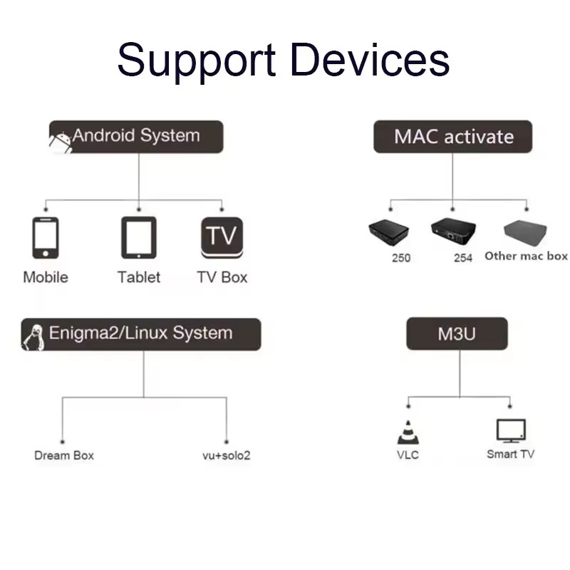 Free Test Set Top Box IP TV M3u Smart TV Panel Stable 12 Months Subscription Code for Android box TV stick